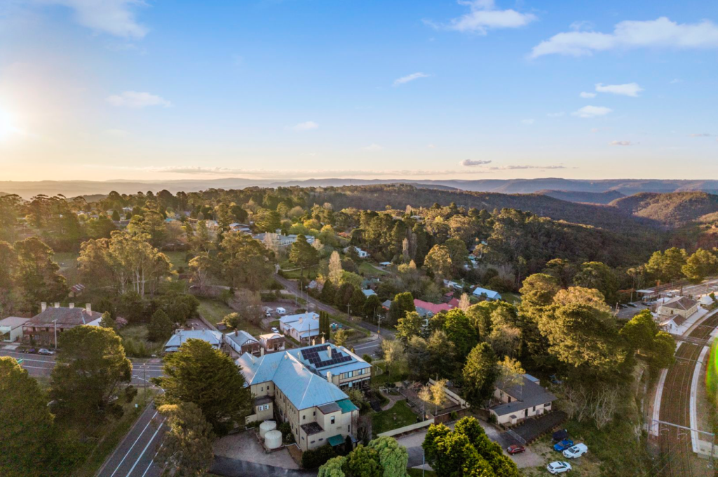 Feathers and Flights: Discovering the Avian Wonders of Mount Victoria
